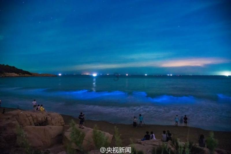 G系奔驰拼图
