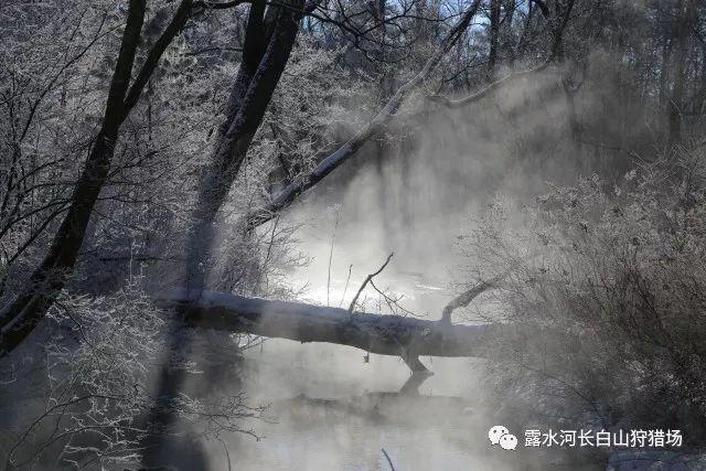 闯红灯属于那类违法行为?为什么?-专业有问必答平台