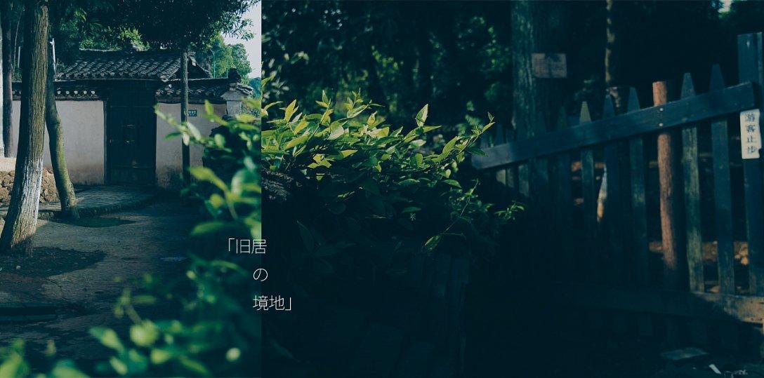 消逝的光芒：信徒