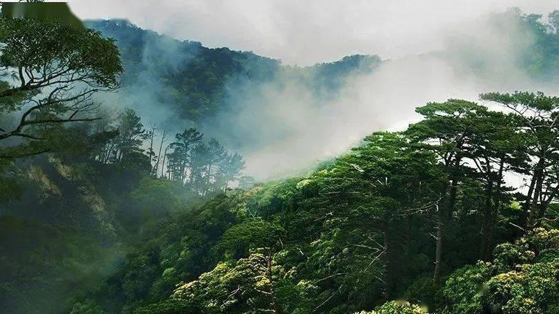 狂野的飙客无敌版