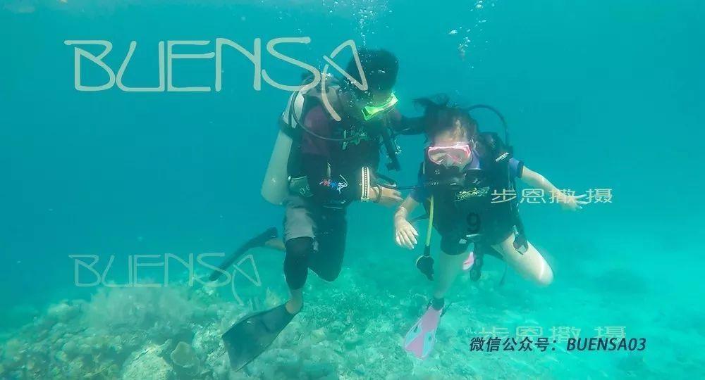 可爱兔子营救
