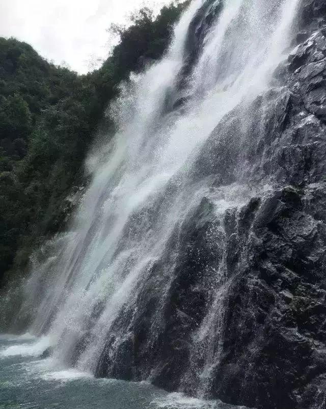 黑道圣徒4