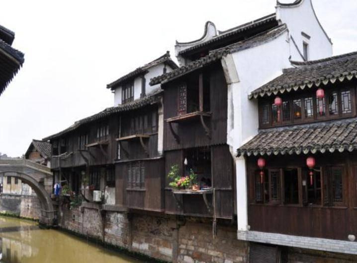 僵尸顶顶乐