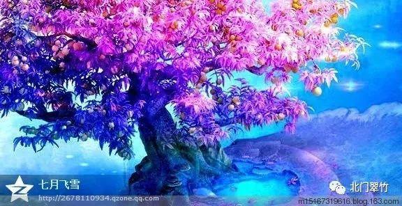 大连推进医疗领域重点工作，增强看病就医获得感满意度